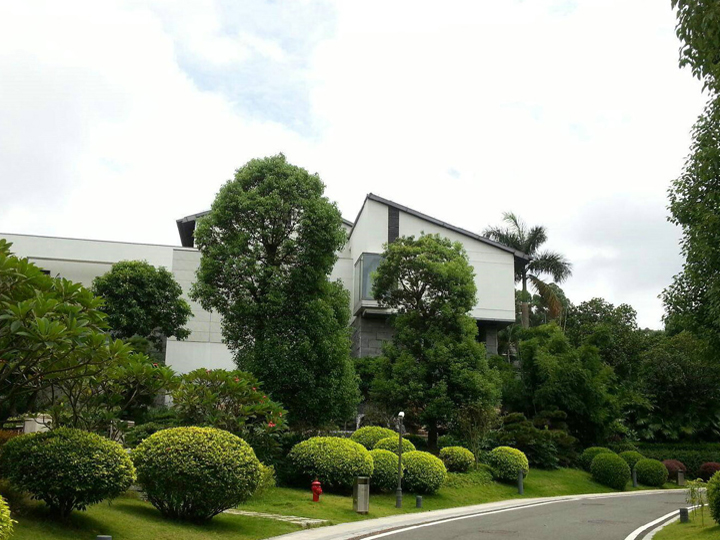 常州绿化托管服务